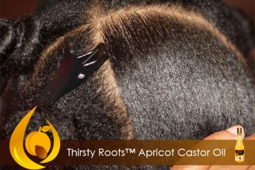 BENEFITS OF APRICOT CASTOR OIL
